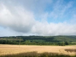 Villa Silva Uslar Erholung Landschaft 5 300x225 - Villa-Silva-Uslar-Erholung-Landschaft (5)